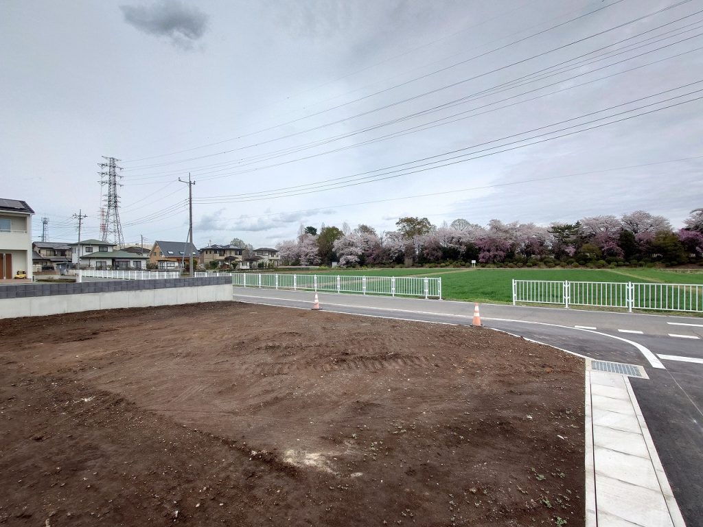 赤堀いこいの森公園_桜