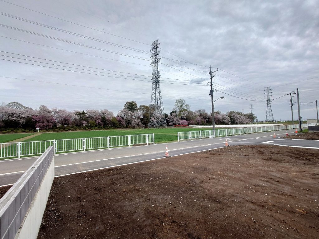 赤堀いこいの森公園_桜