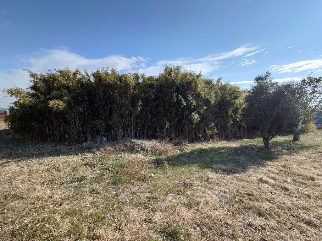 100050間野谷町土地