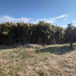 100050間野谷町土地